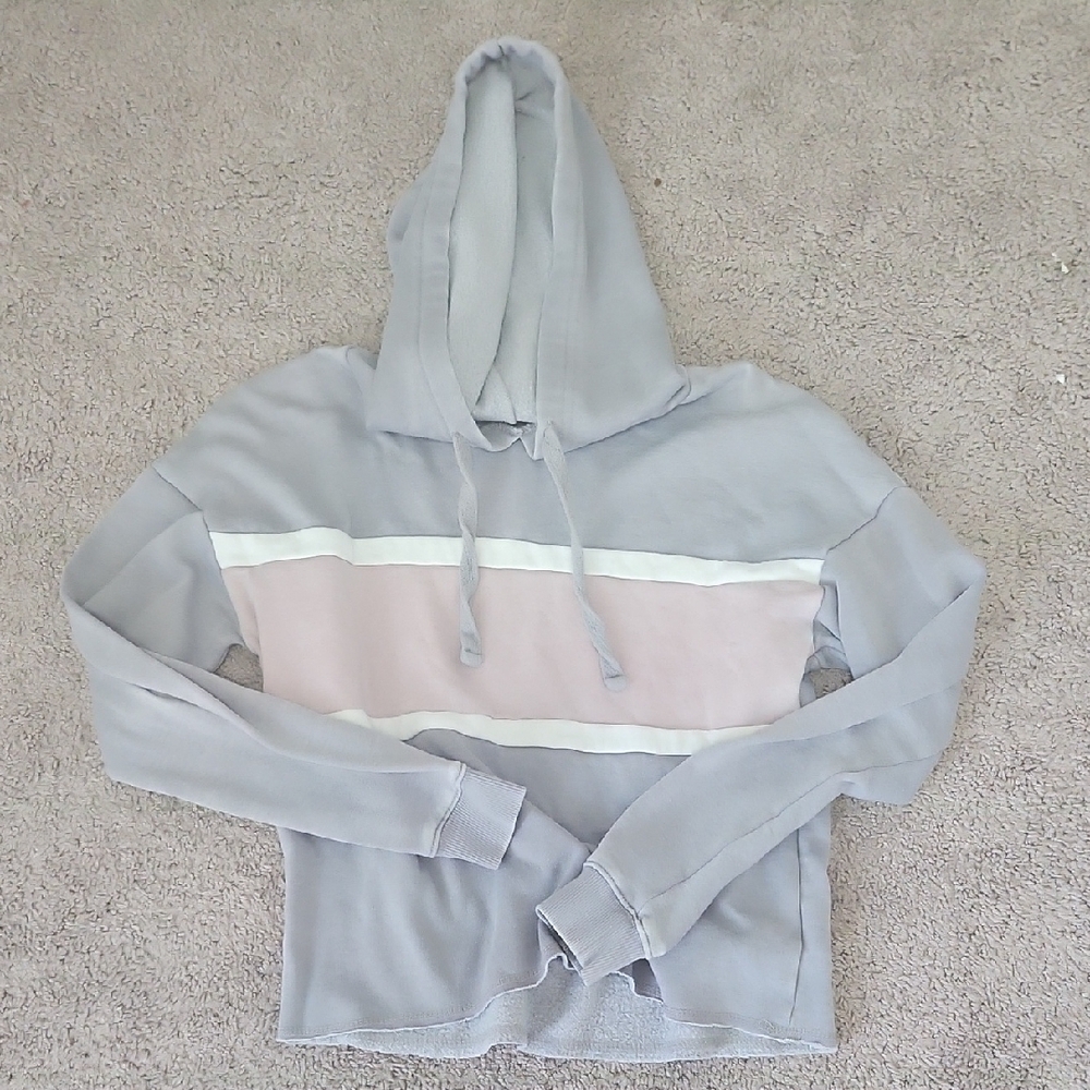 Pink Rose Pink and Gray Hoodie